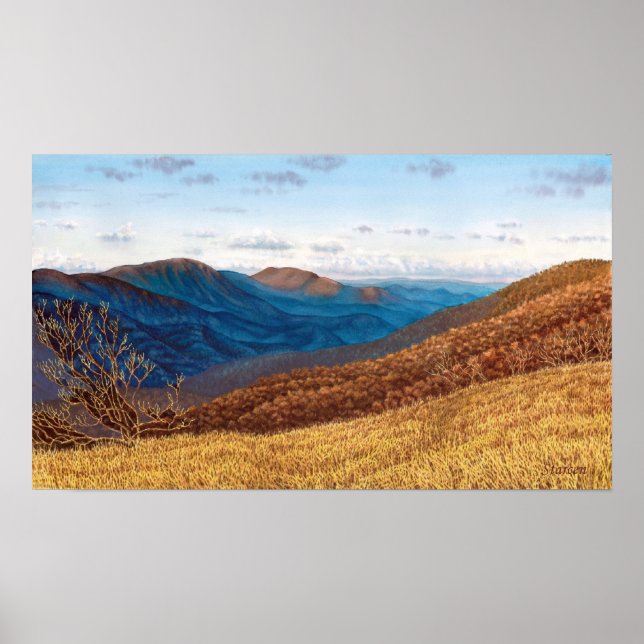 Pôster Middle Prong Wilderness (Frente)