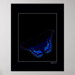 Poster Midnight Flight