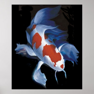 Poster Mighty Koi