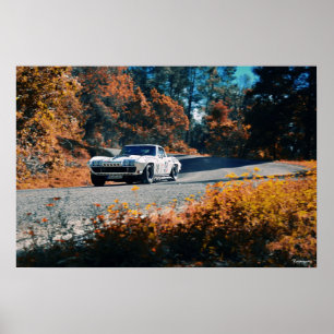 Pôster Mil pepres dowhill (Raça Mexicana)