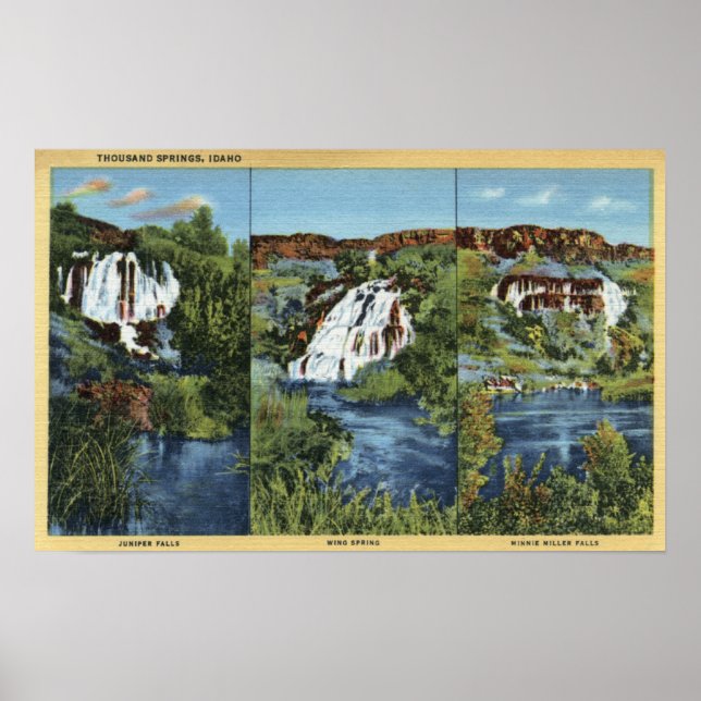 Pôster Mil Primaveras, ID - Juniper, Wing e Minnie (Frente)