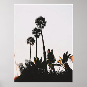 Poster Milacle Mile Palms