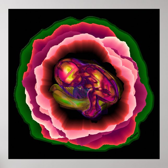 Poster Milagre da Vida (Frente)