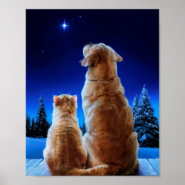 Poster Milagre de Natal de Gato e Cão (Frente)