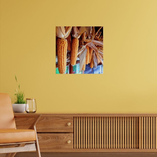 Poster Milho Seco Inteiro com Cascas (Sala de Estar 2)