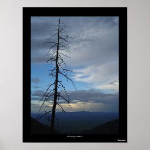 Pôster Miller Canyon Solitude