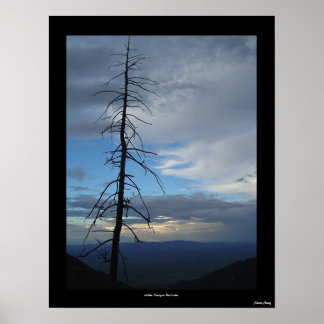 Pôster Miller Canyon Solitude