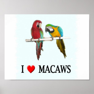 Pôster Mim do "Macaws coração
