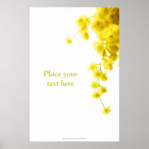 Poster Mimosa