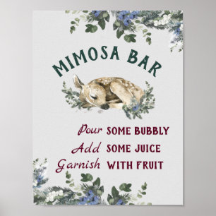 Poster Mimosa Bar Baby It's Cold Outside Baby Shower