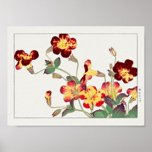 Poster Mimulus luteus por Tanigami Konan