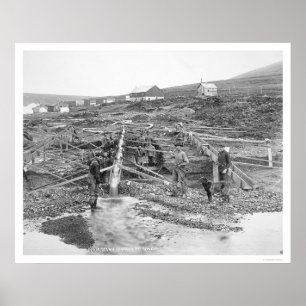 Pôster Mina Dourado Alaska 1916 da angra do batente