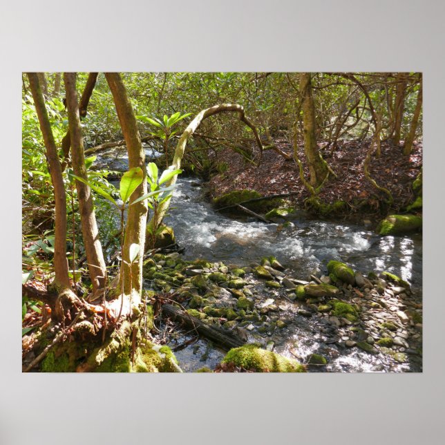 Poster Mingus Creek at Smoky Mountains (Frente)