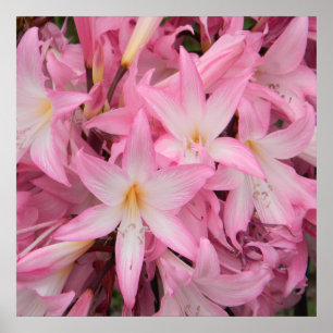 Poster Minha amiguinha dormindo.....