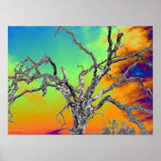 Pôster minha árvore psicodélica favorita