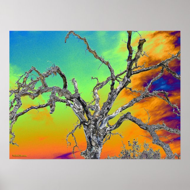 Pôster minha árvore psicodélica favorita (Frente)