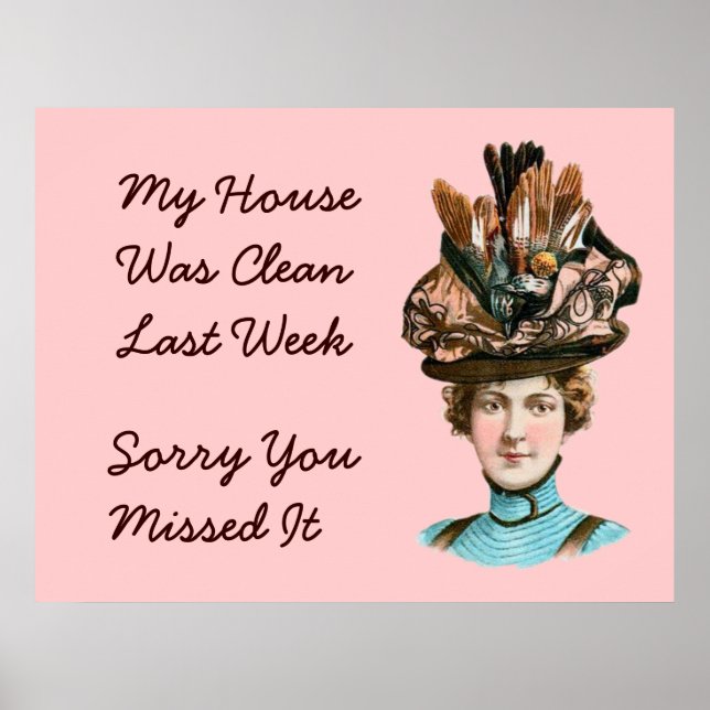 Pôster Minha Casa Foi Limpa Semana Passada (Frente)