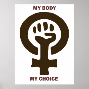 Poster Minha escolha