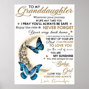 Poster Minha neta