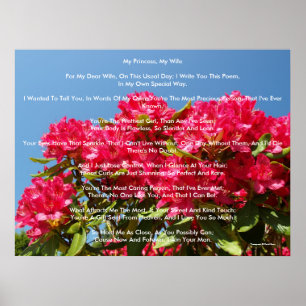 Poster Minha Princesa, Minha Esposa