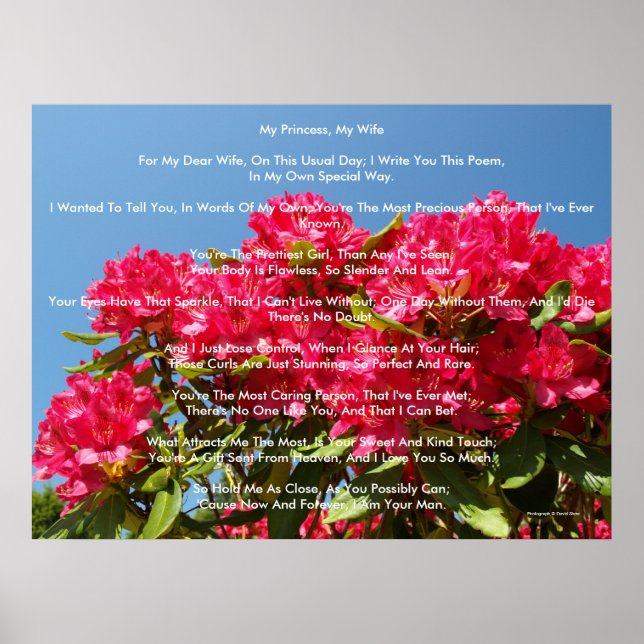 Poster Minha Princesa, Minha Esposa (Frente)
