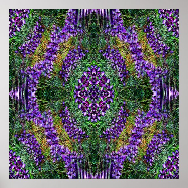 Poster Minha Roda Medicina... (Frente)