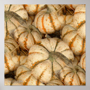 Poster Mini Bombas Brancas Com Acentos Laranja E Verde