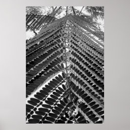 Poster mini folhas - P&B