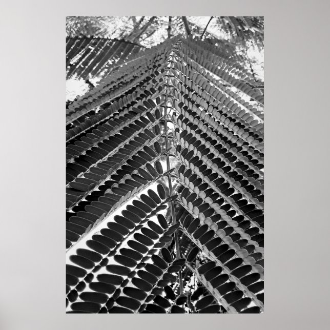 Poster mini folhas - P&B (Frente)