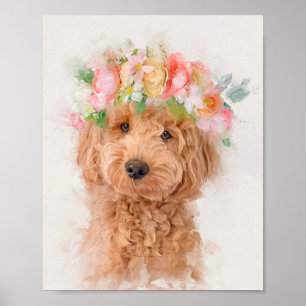 Poster Mini Goldendoodle Cachorro Verso