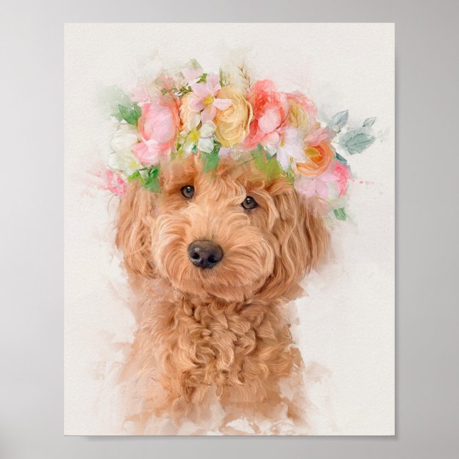 Poster Mini Goldendoodle Cachorro Verso (Frente)