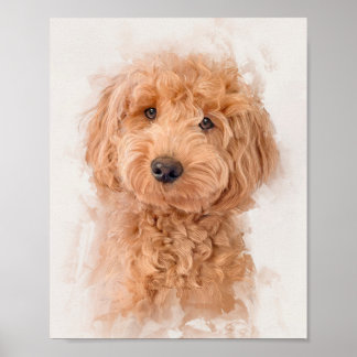 Poster Mini Goldendoodle Portrait