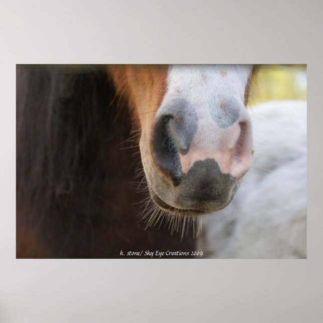 Pôster Mini nariz (Frente)