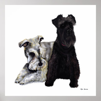 Poster Mini Schnauzer Buddies