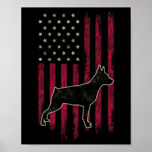 Poster Miniatura Cachorro Pinscher Amplia Bandeira Americ
