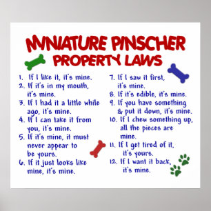 PÔSTER MINIATURE PINSCHER PL2