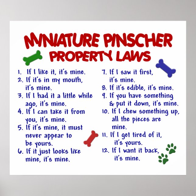 PÔSTER MINIATURE PINSCHER PL2 (Frente)