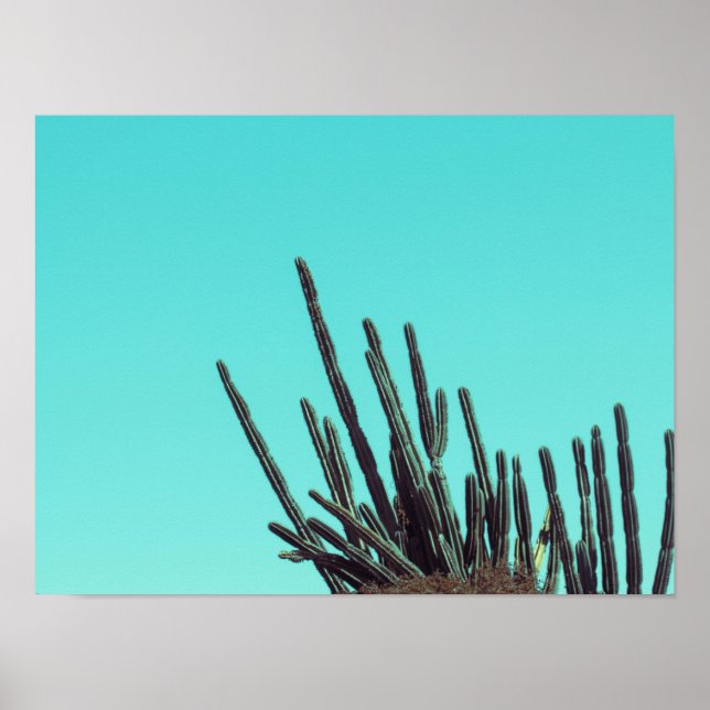Poster Minimalismo das Plantas Suculentas do Cactus Verde (Frente)