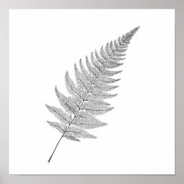 Poster Minimalist Botanical Print: Elegant Fractal Fern