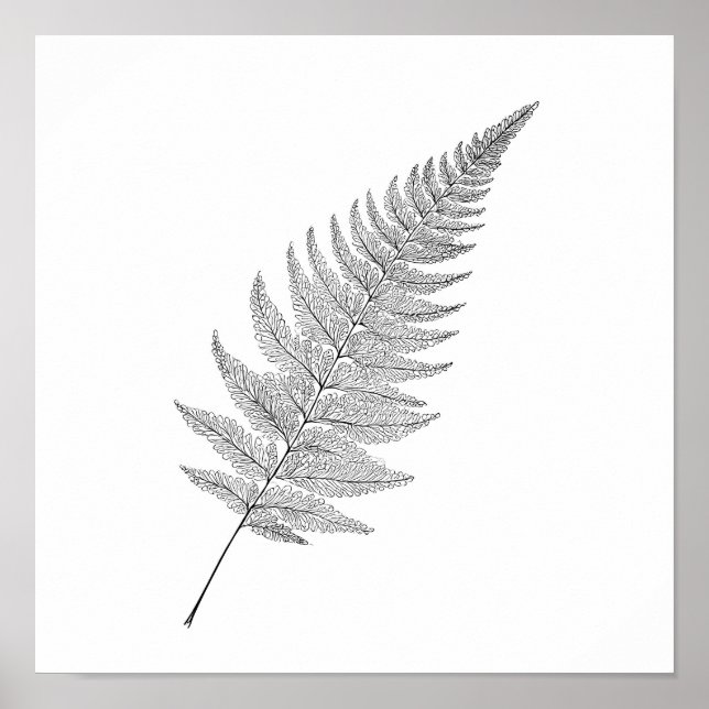 Poster Minimalist Botanical Print: Elegant Fractal Fern (Frente)