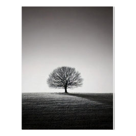 Pôster Minimalist Solitary Tree Landscape | Monochrome
