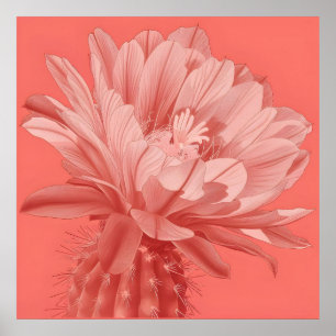 Poster Minimalista Coral Cactus Bloom