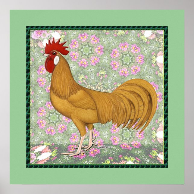 Poster Minorca: Rooster Antiquado (Frente)