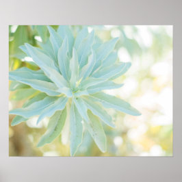 Pôster Mint Green Succult Cactus Flower Nature Fine Art