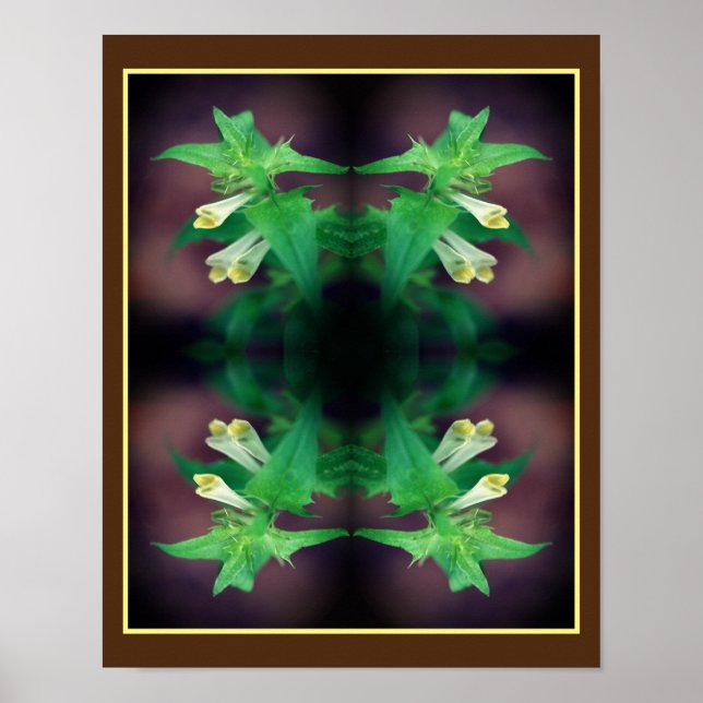 Poster Minúscula Flor Silvestre Branca Arte Floral no Esp (Frente)