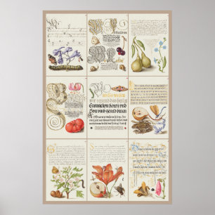 Poster Mira Calligraphiae Monumenta 005