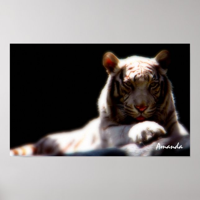 Poster Mirage White Tiger Art (Frente)
