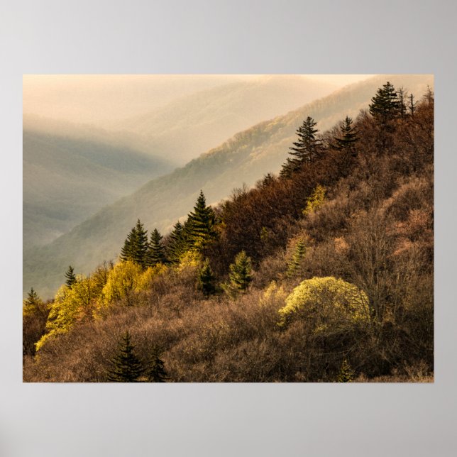 Poster Mirante do Vale de Oconaluftee | Carolina do Norte (Frente)