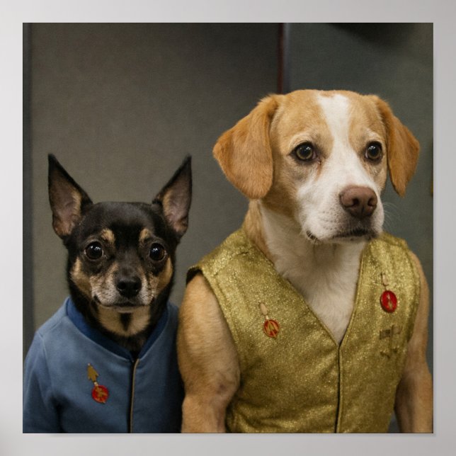 Poster "Mirror, Mirror" (Frente)