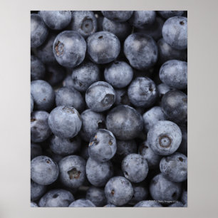 Poster Mirtilos